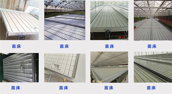 苗床吸塑机样品 苗床吸塑机样品